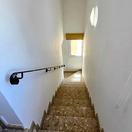 Alkioni 31 * Paralimni