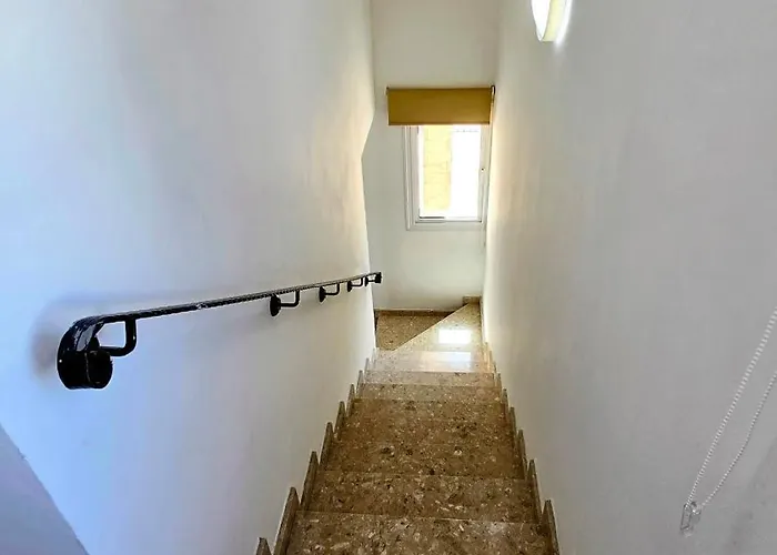 Alkioni 31 * Paralimni